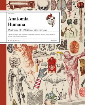 ANATOMIA HUMANA