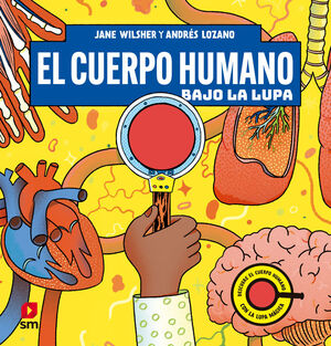 EL CUERPO HUMANO BAJO LA LUPA